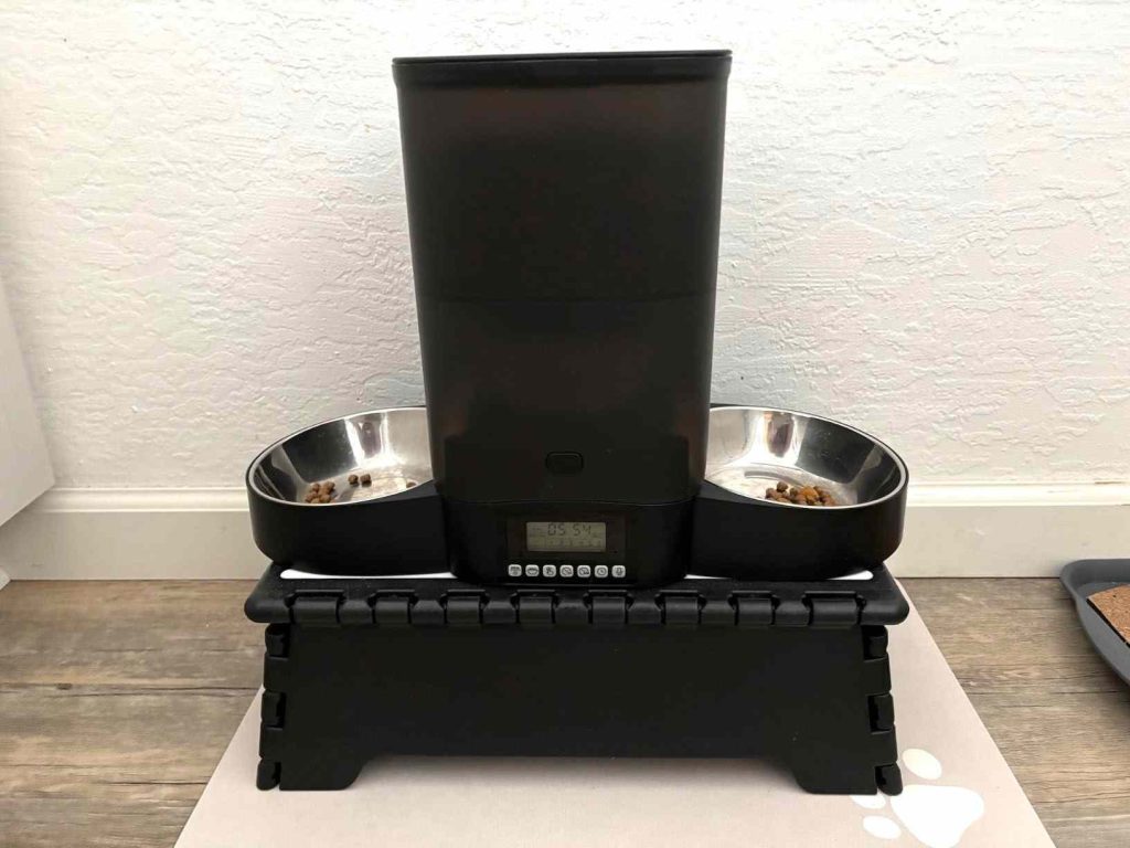automatic cat feeder multiple cats