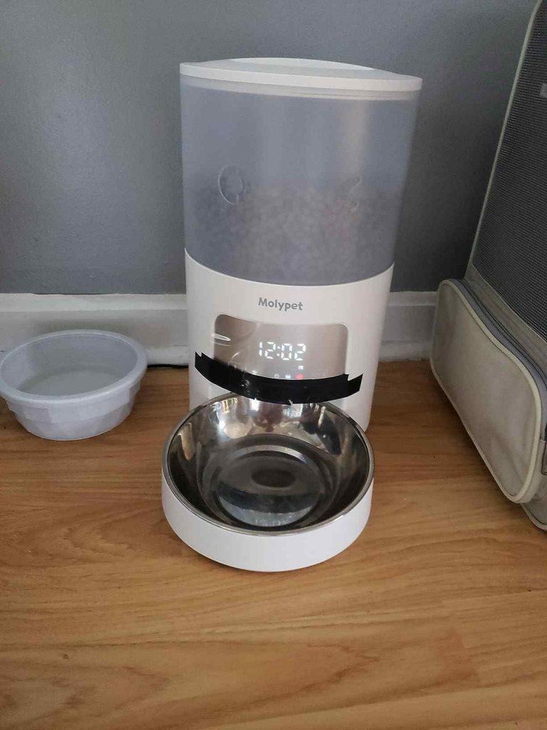automatic cat feeder with app