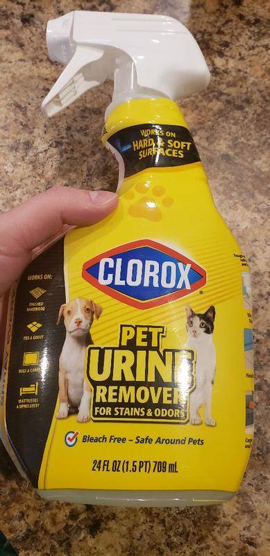 Clorox for dog urine hotsell