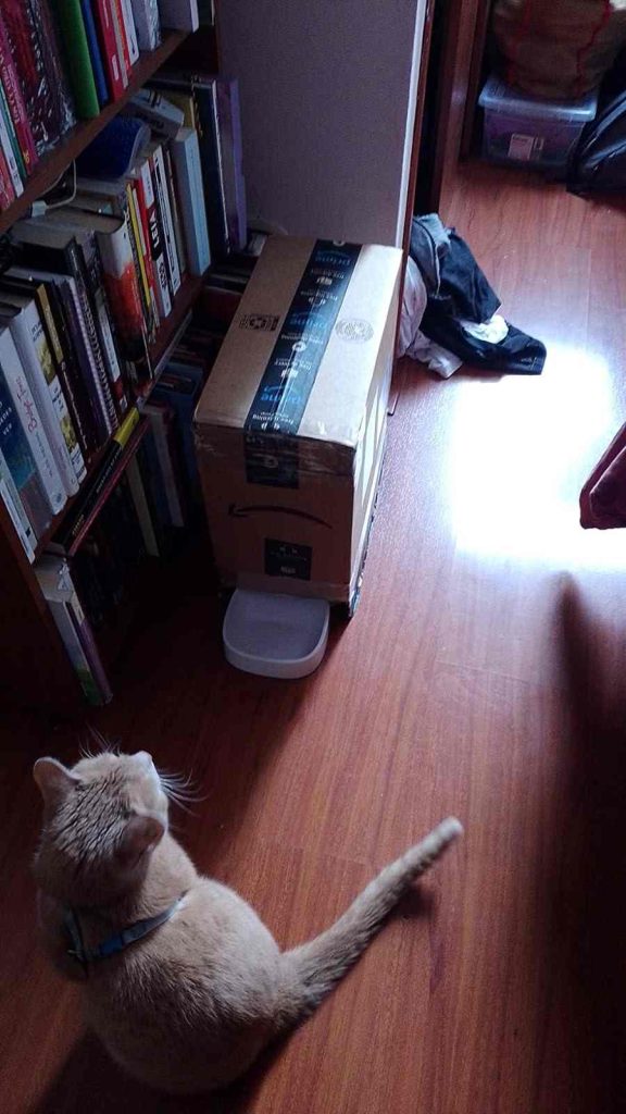 Box of Wopet 6L Automatic Cat Feeder.
