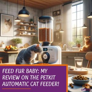 Feed Fur Baby: My Review on the PETKIT Automatic Cat Feeder!