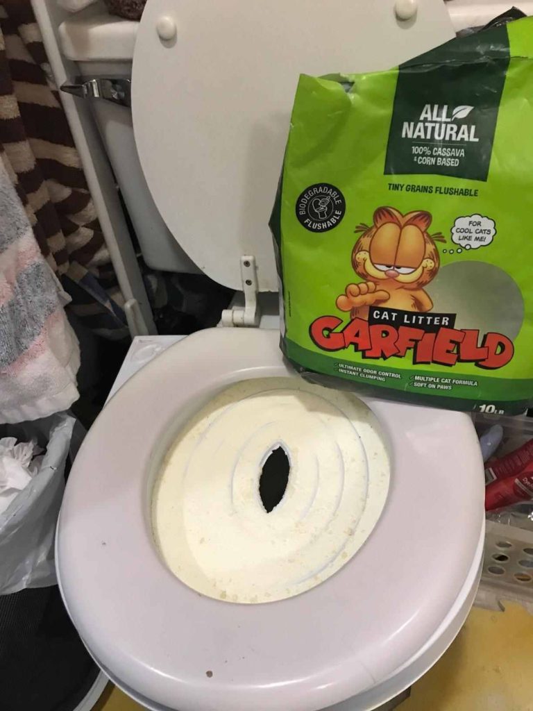 Garfield Cat Litter Vs Sustainably Yours My Honest Review