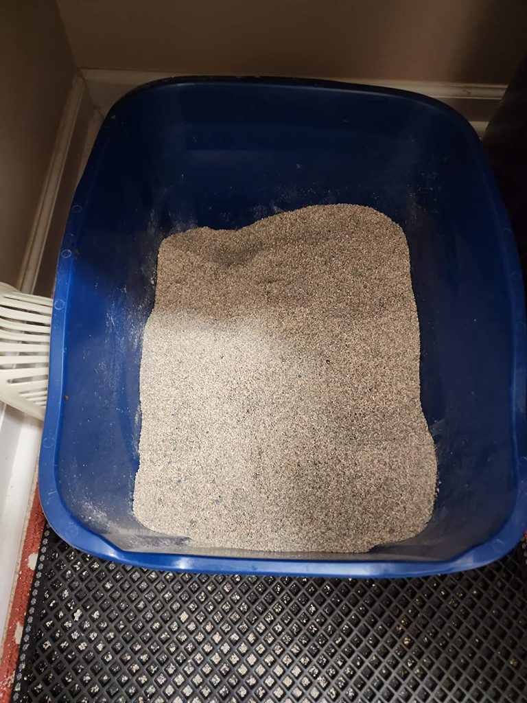 market of cat litter