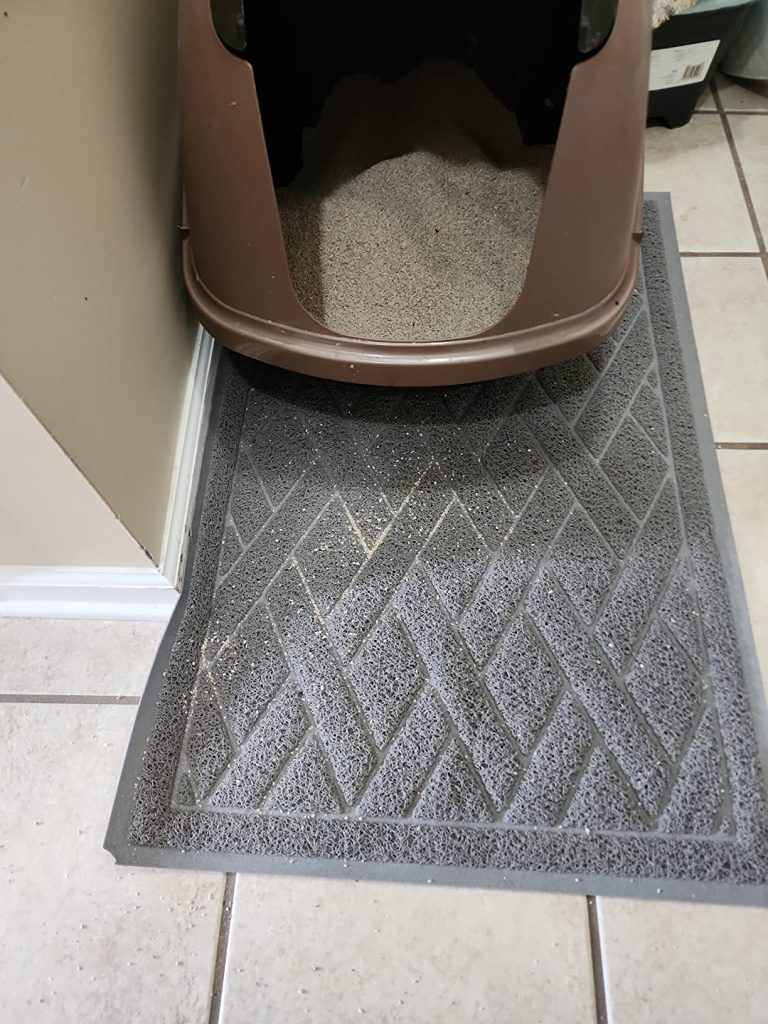 find the best cat litter