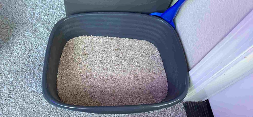 Switching to grass seed litter