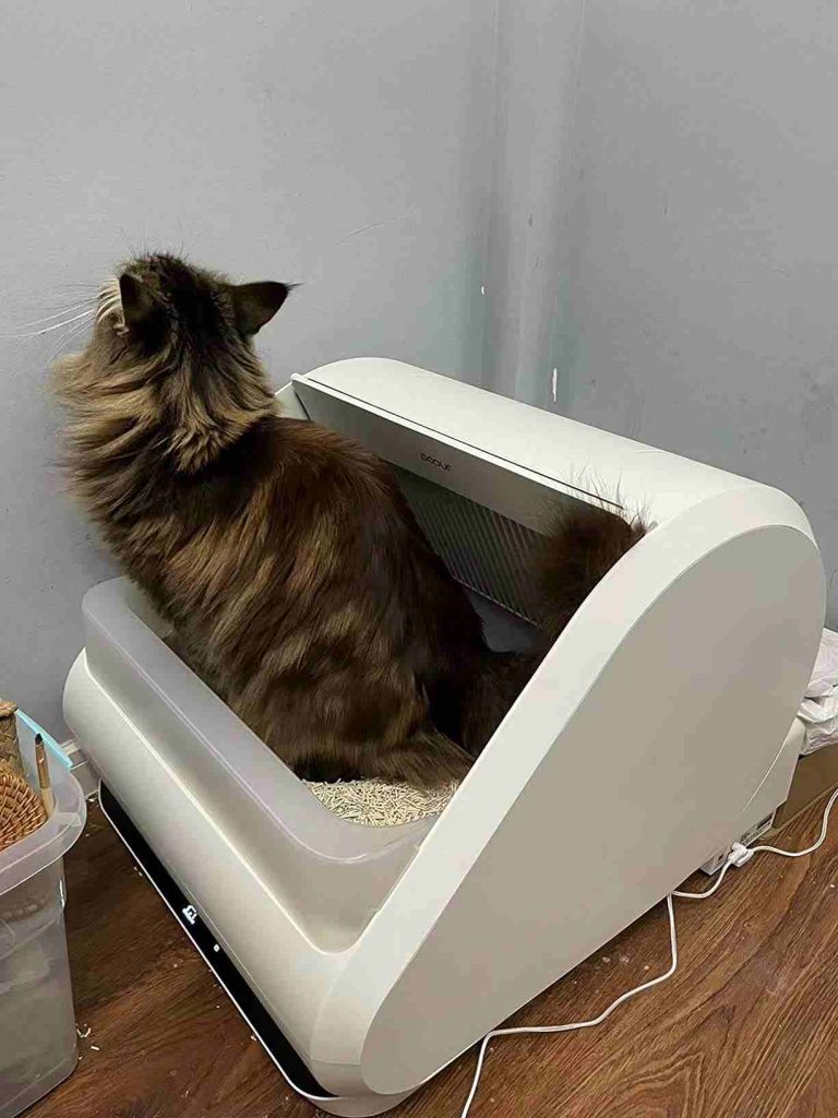 Pros and Cons of Popur Litter Box