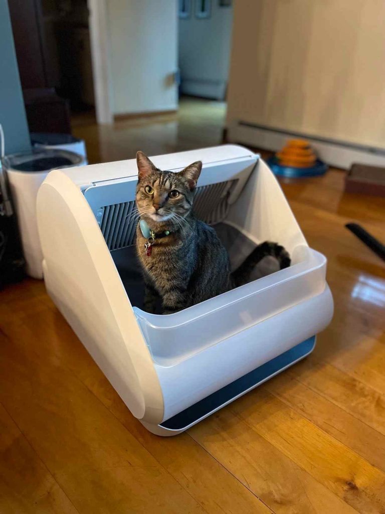 two-box system in Popur Litter Box