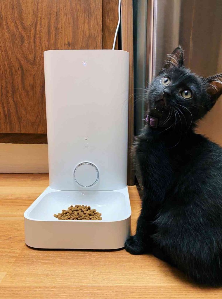 Pro and Cons PETKIT Automatic Cat Feeder.
