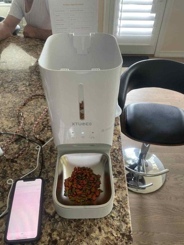 How We Reviewed XTUOES Automatic Cat Feeder
