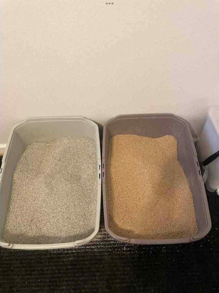 world's best cat litter vs sustainably yours