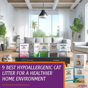 9 Best Hypoallergenic Cat Litter for a Healthier Home Environment