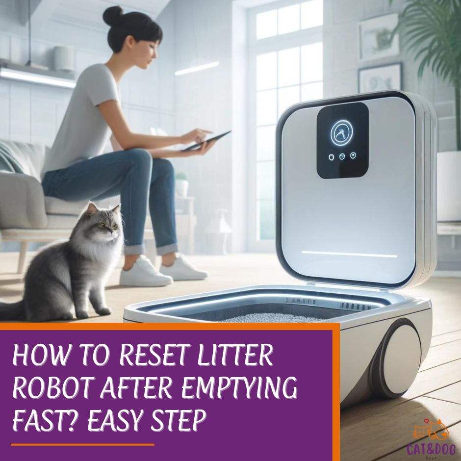 How to Reset Litter Robot After Emptying Fast Easy Step