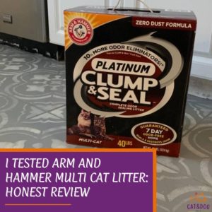 I Tested Arm and Hammer Multi Cat Litter: Honest Review