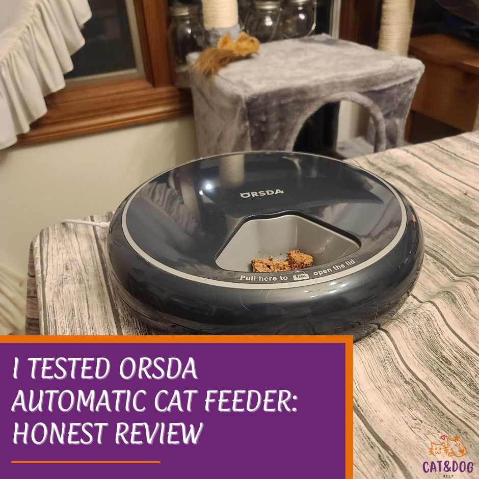 I Tested ORSDA Automatic Cat Feeder: Honest Review