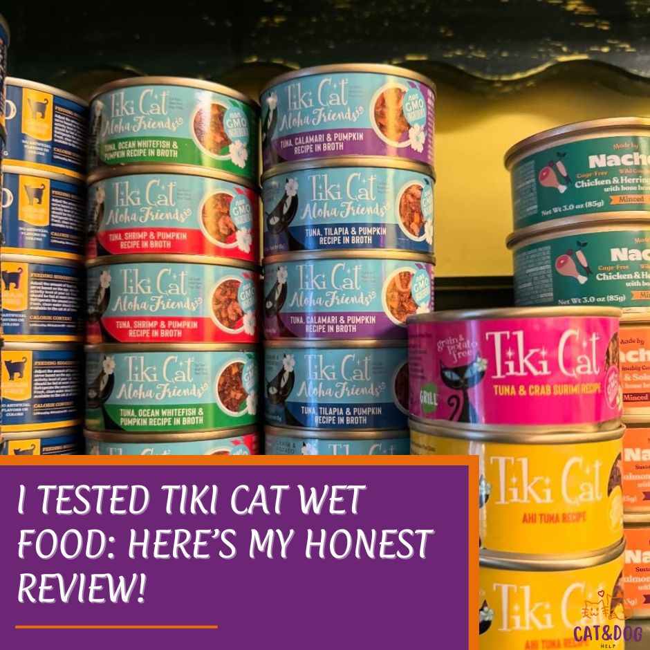 I Tested Tiki Cat Wet Food: Here’s My Honest Review!
