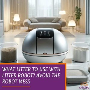 What Litter to Use With Litter Robot? Avoid The Robot Mess