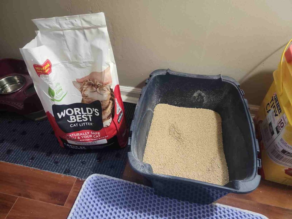 World’s Best Cat Litter