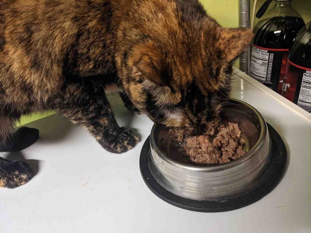 Benefits of Tiki Cat Wet Food